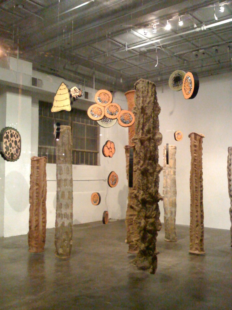 Cocoon Gallery. Kansas City. 2009. In collaboration with Jay Kreimer.